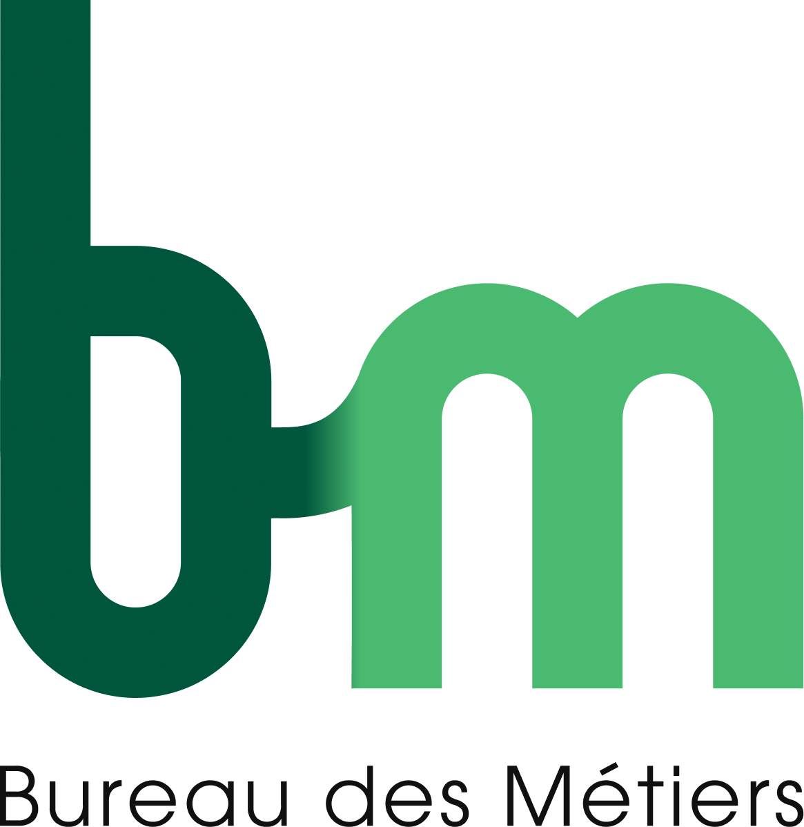 logo bm